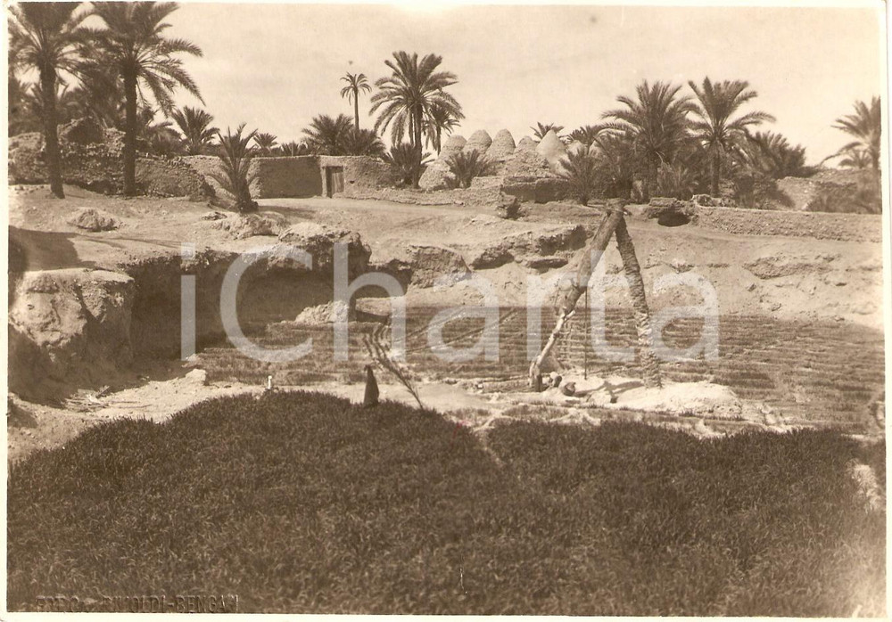 Fotografia d'epoca originale 1930 ca LIBIA Oasi di AUGILA Veduta del palmeto e della moschea *Foto 18x13 cm 1