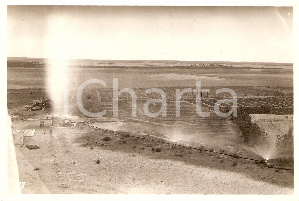 Fotografia d'epoca originale 1930 ca LIBIA ITALIANA Esperimenti di irrigazione a pioggia *Foto 18x13 1