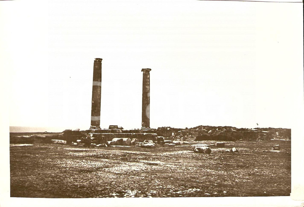Fotografia d epoca originale 1937 TOLMETTA LIBIA Rovine di un tempio romano Fotografia 18x12 cm 1
