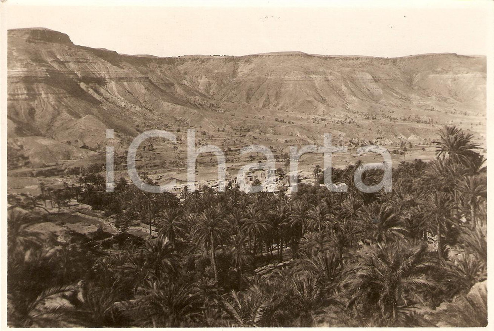 Fotografia d'epoca originale 1935 ca GEBEL EL-ACHDAR (LIBIA) Villaggio nell'oasi sotto l'altipiano *Foto 1