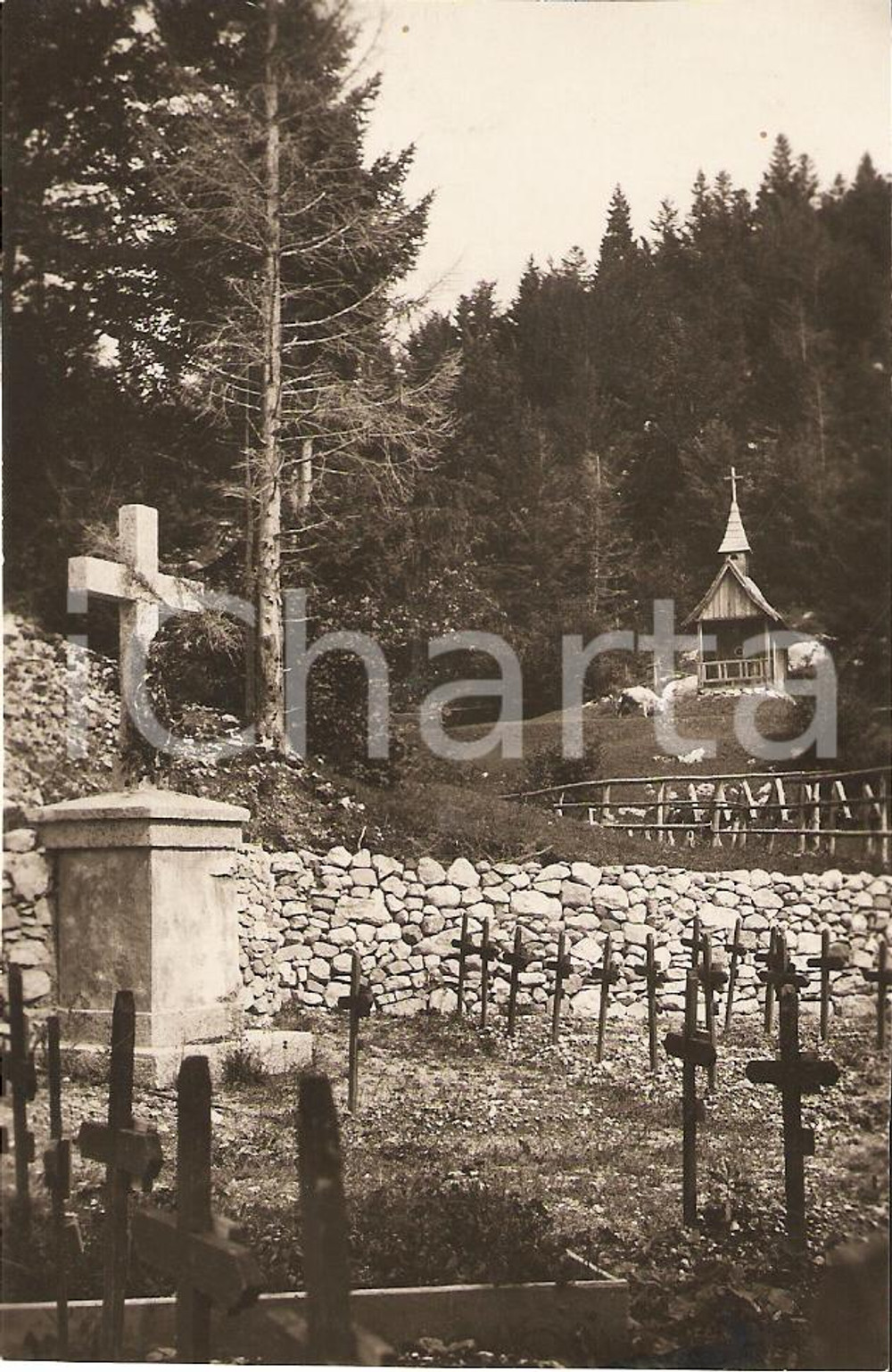 Fotografia d'epoca originale 1930 ca LAVARONE (TN) Rimboschimento cimitero di guerra 1