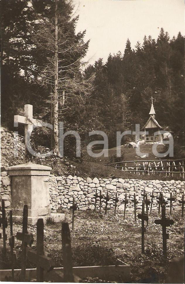 Fotografia d epoca originale 1930 ca LAVARONE TN Rimboschimento cimitero di guerra della WW1 Rifilata 1