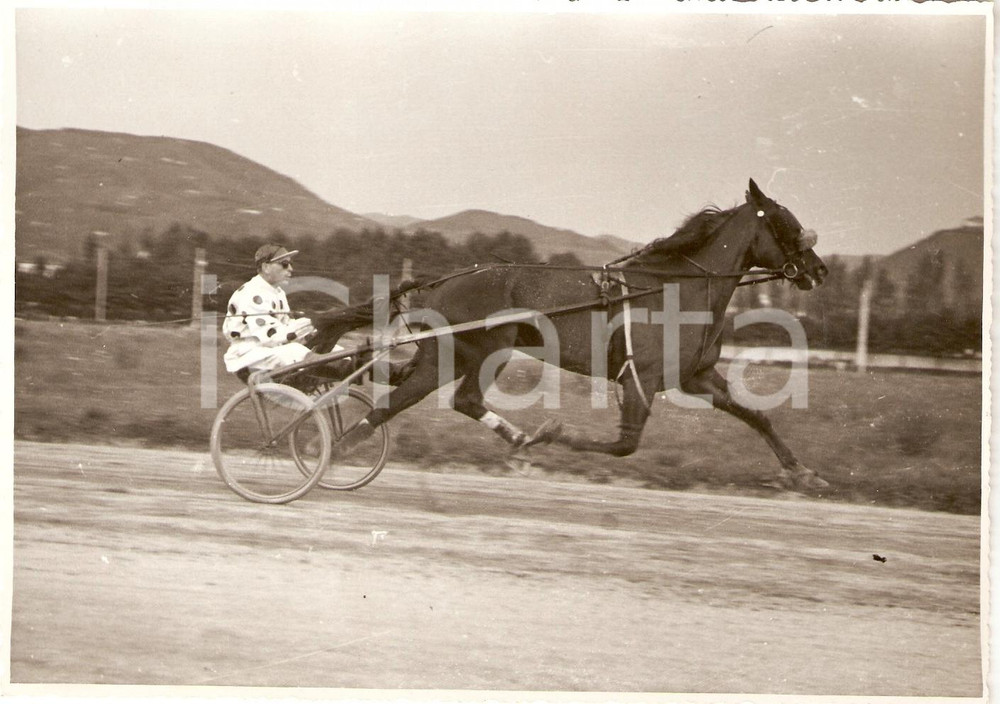 Fotografia d'epoca originale 1940 ca TRIESTE Premio LIMOSINO - Una fase delle gare *Foto IPPICA 1