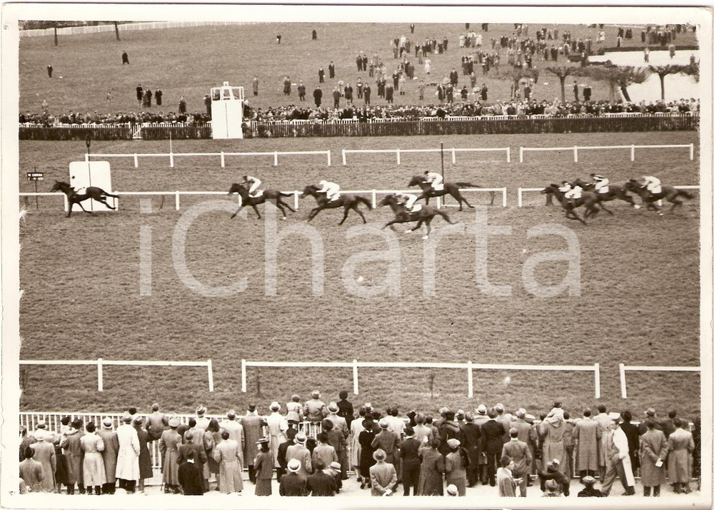 Fotografia d'epoca originale 1939 MILANO SAN SIRO Ippica Cavallo PONGO vince il premio d'apertura *Fotografia 1