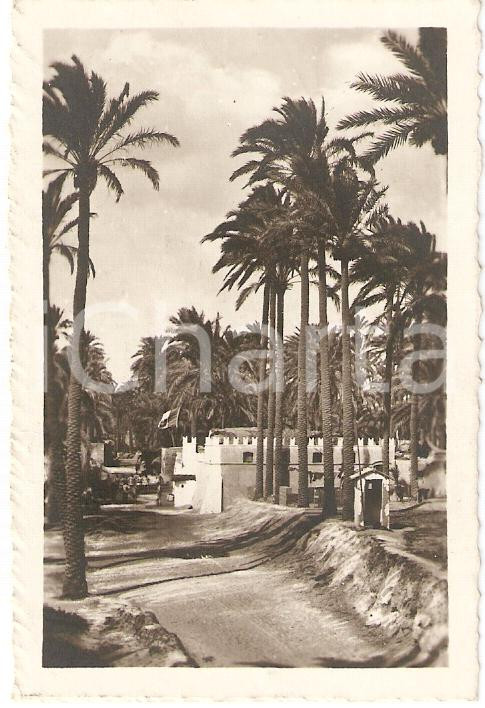 Fotografia d'epoca originale 1938 TRIPOLI (LIBIA) Fortino dell'oasi di TAGIURA *Fotografia cm 6 x 9 1