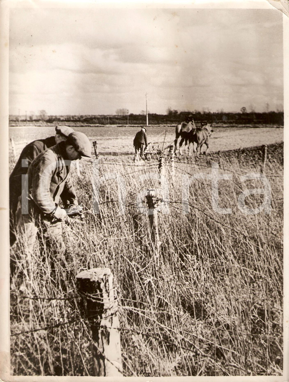 Fotografia d'epoca originale 1941 SAINT-QUENTIN (F) WW2 Contadini arano campi di battaglia *Fotografia 1