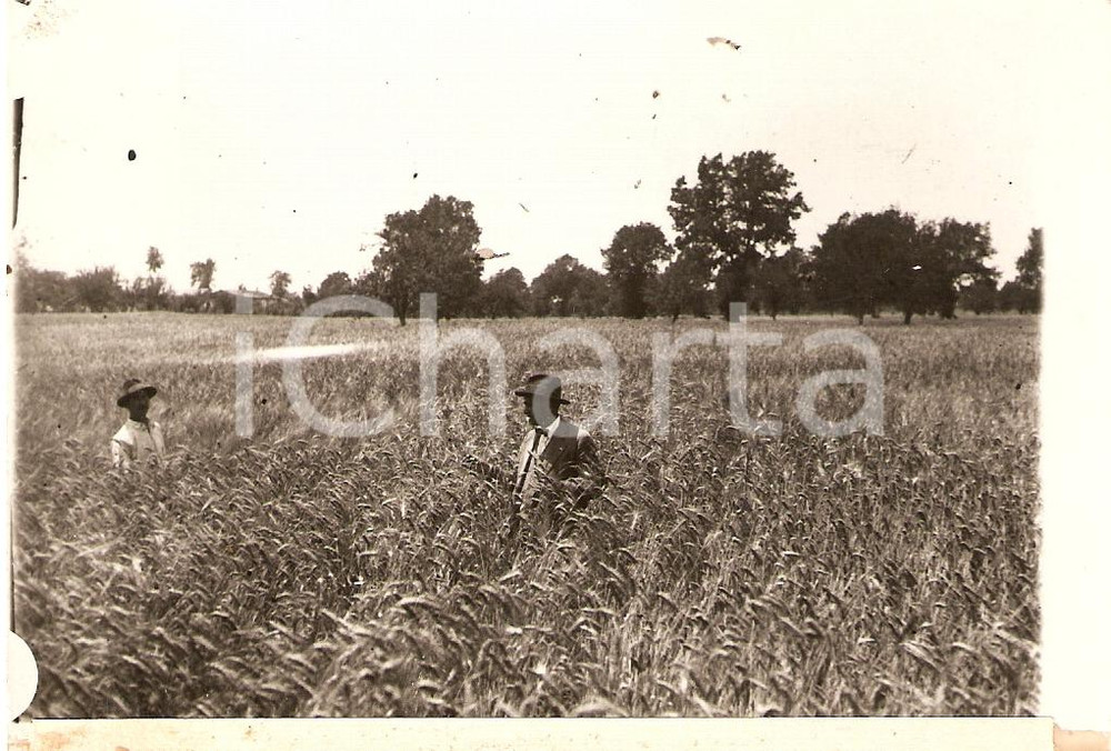 Fotografia d epoca originale 1930 ca VILLA SANTA LUCIA FR Campo moltiplicazione grano ANIMATA Fotografia 1