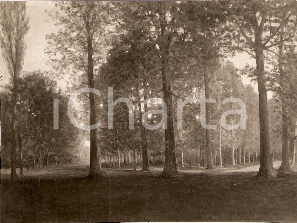 Fotografia d'epoca originale 1936 MONZA Mostra per l'illustrazione paesaggio BRIANZA 1