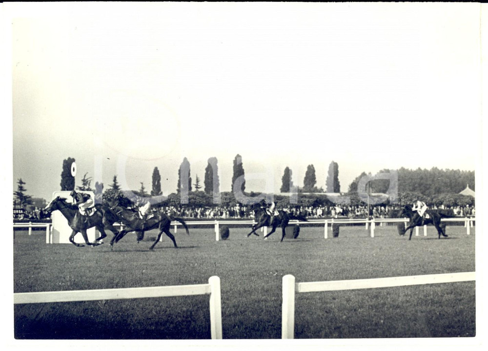 Fotografia d'epoca originale 1940 ca IPPICA Gara con cavalli al galoppo *Fotografia Rino COCCHIO 18x13 1
