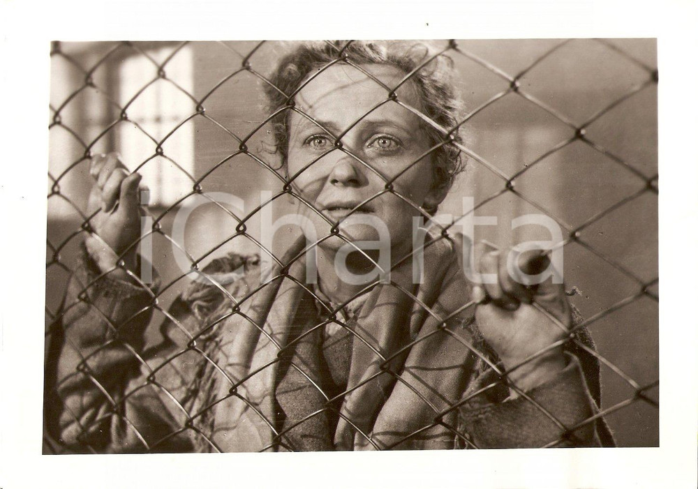 Fotografia d'epoca originale 1955 LETTONIA Attrice VELTA LINE in Verso la nuova riva 1