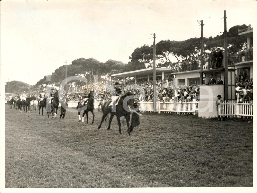 Fotografia d'epoca originale 1942 LIVORNO Ippica Sfilata del Premio COSTANZO CIANO *Fotografia 1