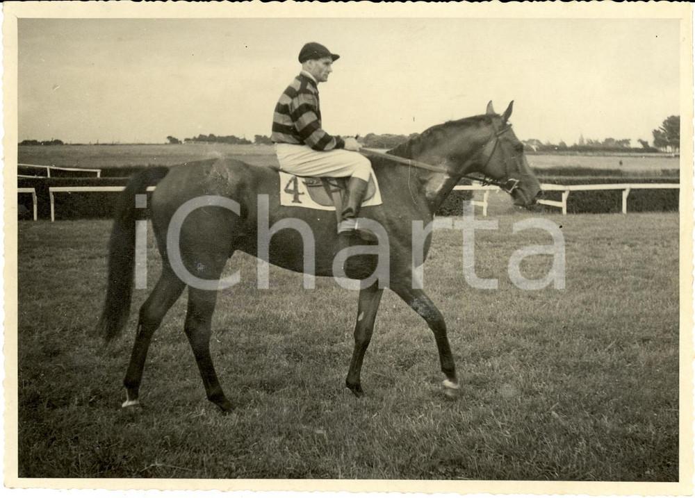 Fotografia d'epoca originale 1942 ROMA Cavallo ARCO al Gran Premio del Re Ippodromo CAPANNELLE 1
