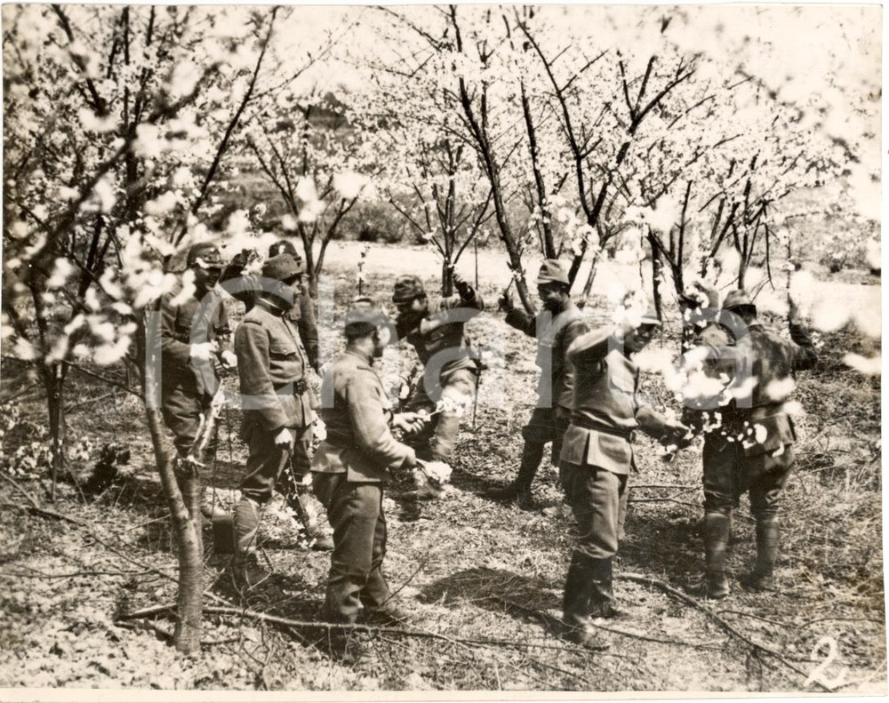Fotografia d epoca originale 1938 NANJING CINA Guerra CINOGIAPPONESE Truppe nipponiche tra ciliegi in fiore 1
