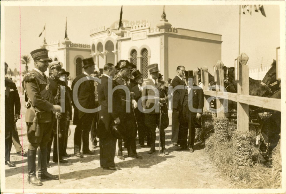 Fotografia d epoca originale 1930 ca TRIPOLI Giacomo ACERBO alla mostra zootecnica 1