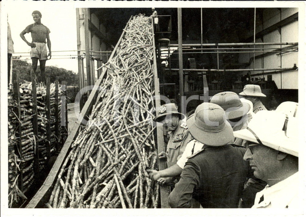Fotografia d epoca originale 1939 GIOHAR Somalia AOI Villaggio DUCA ABRUZZI  Attlio TERUZZI zuccherificio 1