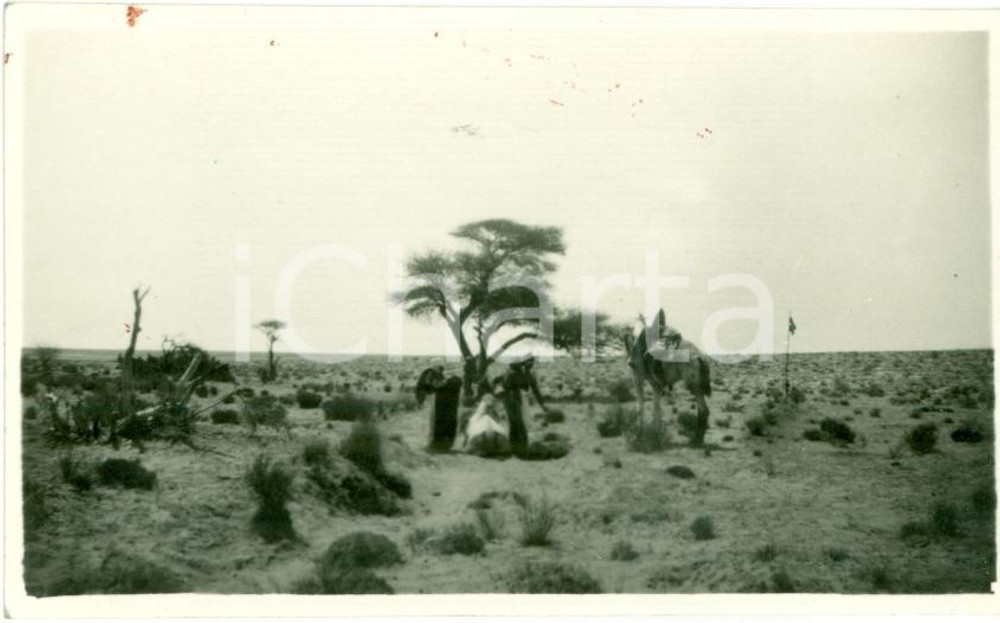 Fotografia d epoca originale 1935 ca TRIPOLI LIBIA Flora desertica regione GHIBLA Foto ANIMATA 1