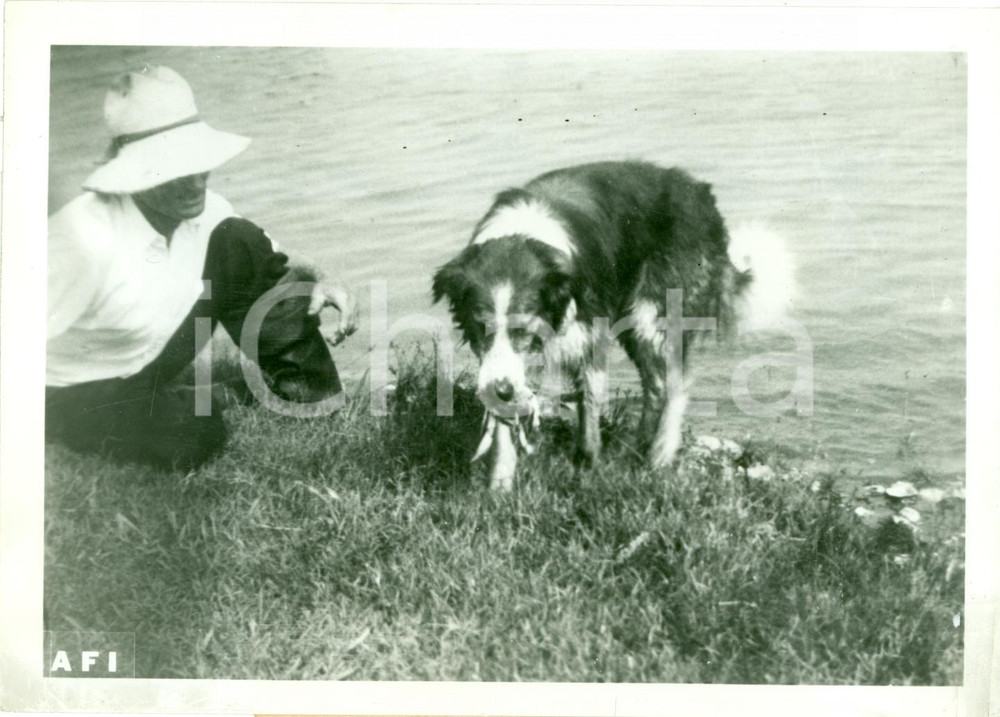 Fotografia d epoca originale 1941 LISBONA L unico cane al mondo a pesca di granchi FOTOGRAFIA 1