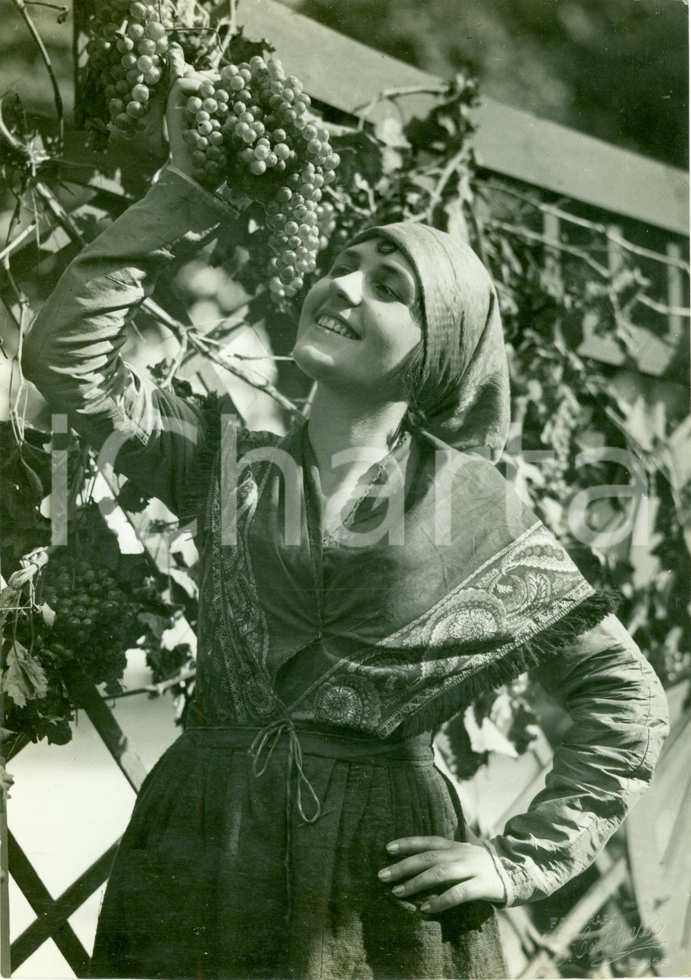 Fotografia d epoca originale 1933 LUCCA Vendemmiatrice in costume a Giornata dell Uva Fotografia 1