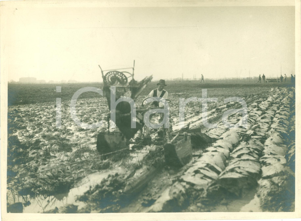Fotografia d epoca originale 1935 ca BOLOGNA Aratura con trattore meccanico FOTOGRAFIA 1