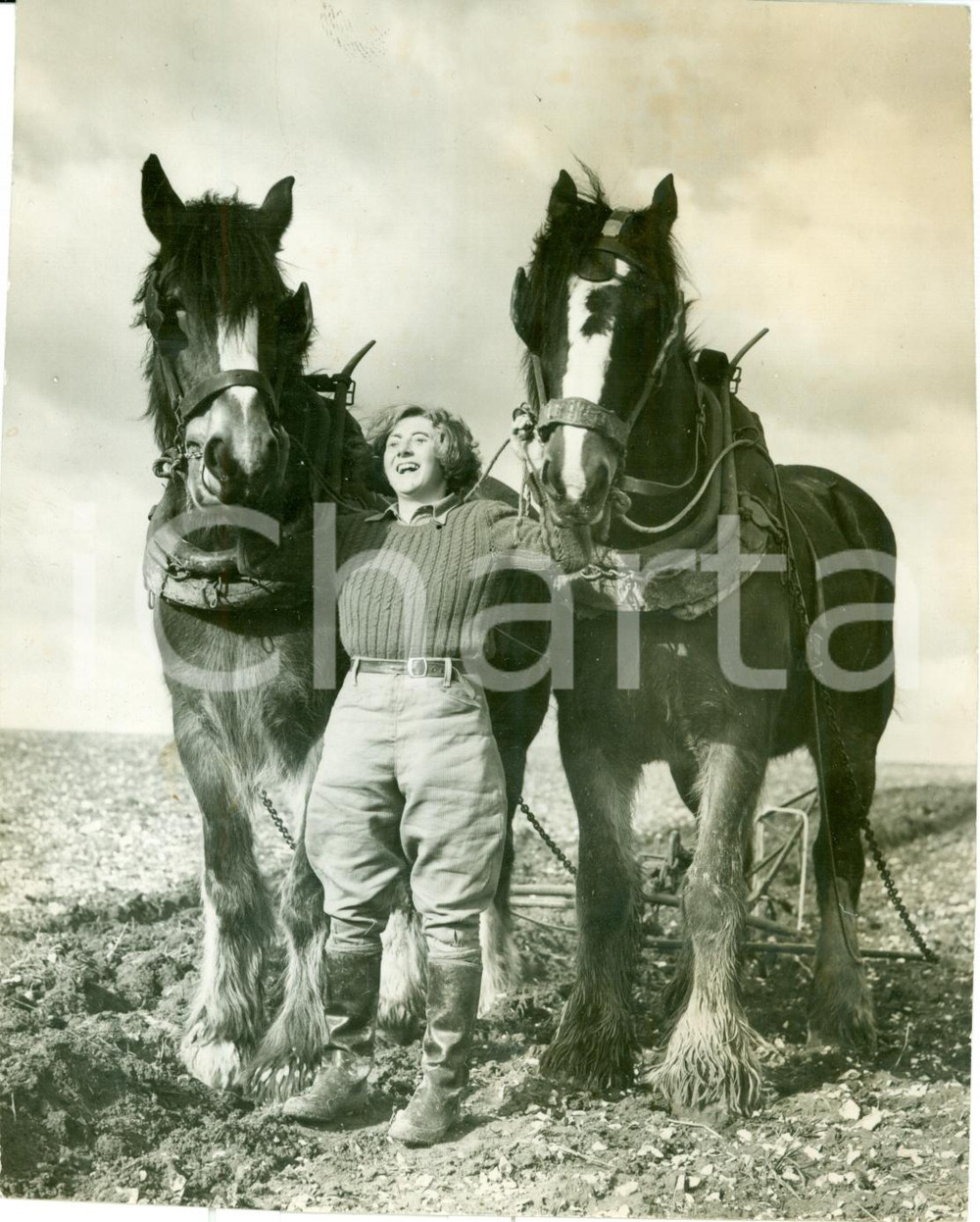 Fotografia d epoca originale 1939 SPARSHOLT UK A scuola di aratura a cavallo al FARM INSTITUTE Fotografia 1