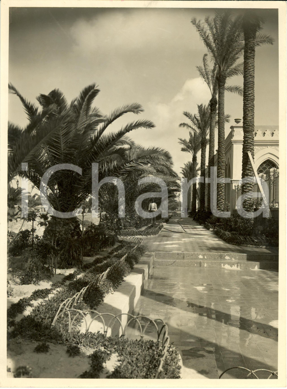 Fotografia d epoca originale 1930 ca TRIPOLI LIBIA Sistemazione del lungomare a giardino Fotografia 1