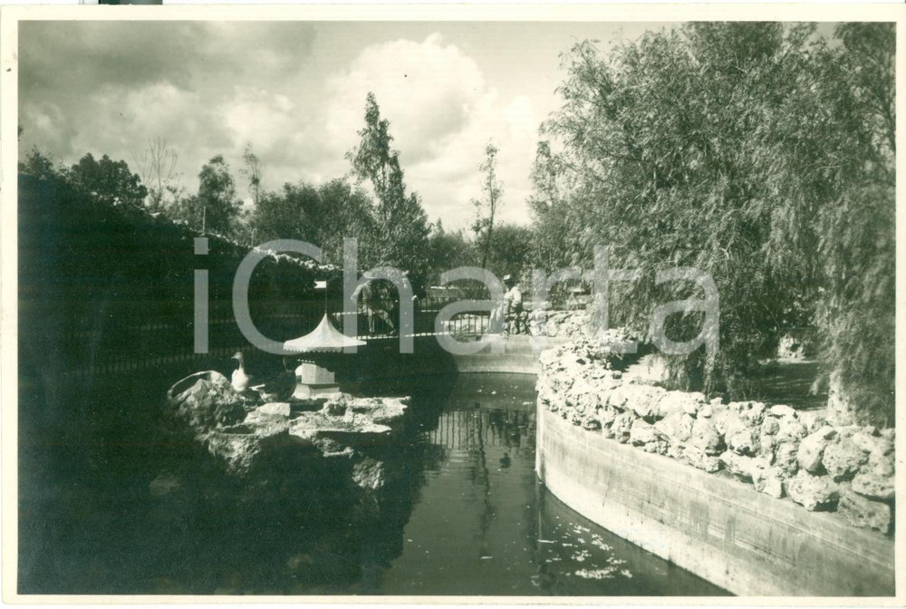 Fotografia d epoca originale 1932 BENGASI LIBIA Il nuovo Bosco del LITTORIO Fotografia ANIMATA 1