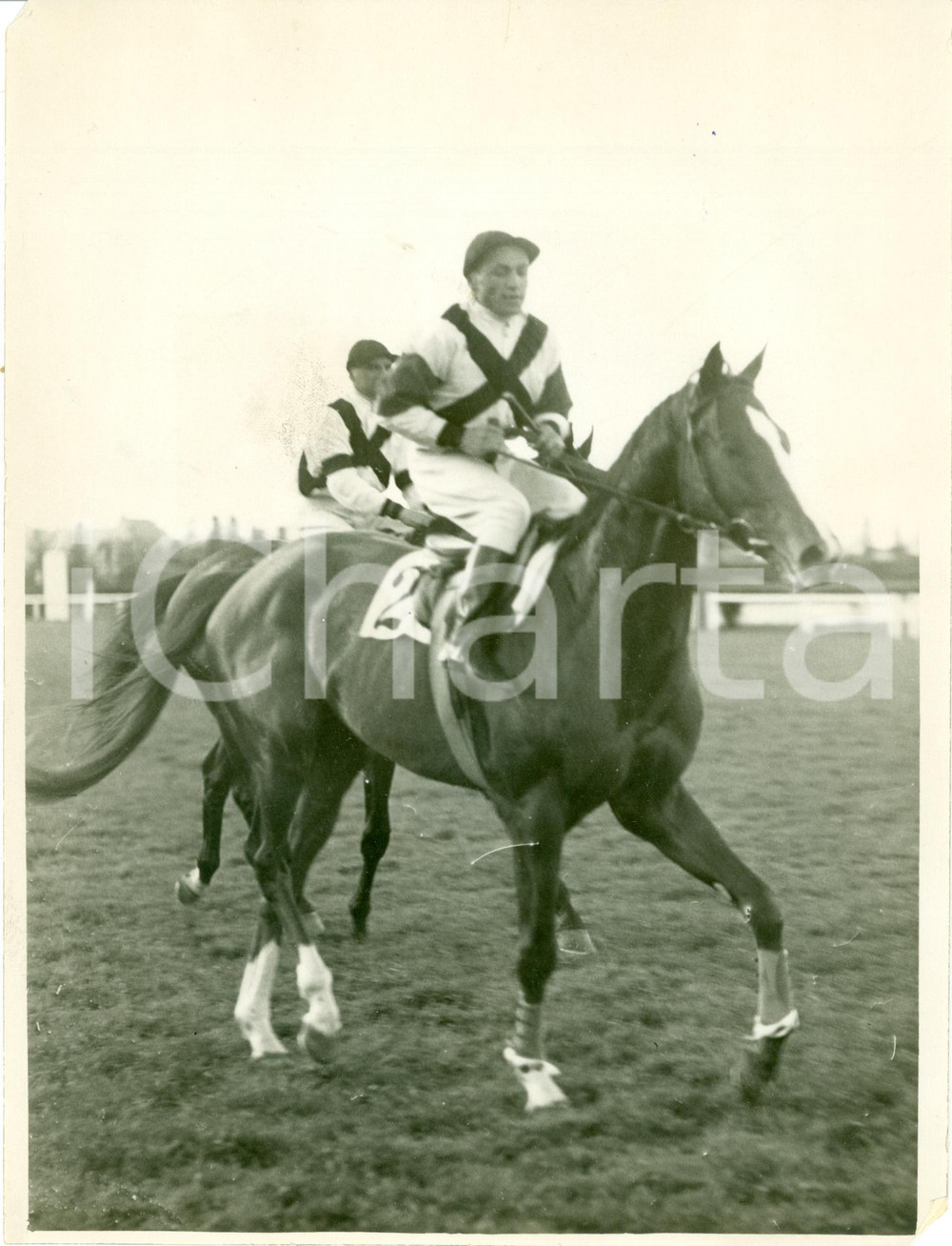 Fotografia d epoca originale 1936 MILANO SAN SIRO Cavallo TELLURIO al premio Principe Emanuele Filiberto FOTO 1