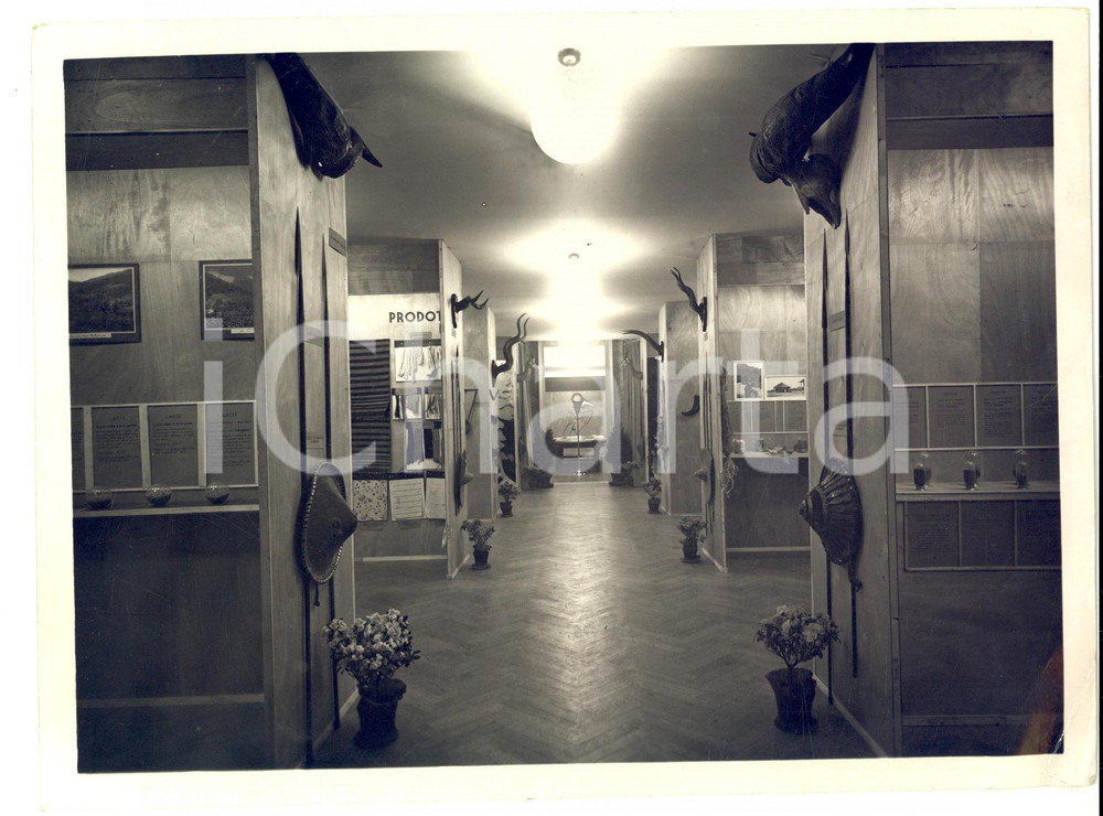 Fotografia d epoca originale 1937 MILANO ? Mostra AFRICA Orientale Italiana AOI Veduta di una sala Foto 1