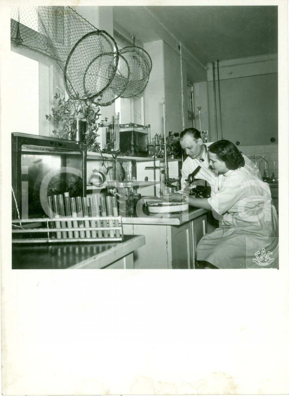 Fotografia d epoca originale 1950 ca PULAWY Scienziati laboratorio ittiologico ISTITUTO STATALE VETERINARIO 1