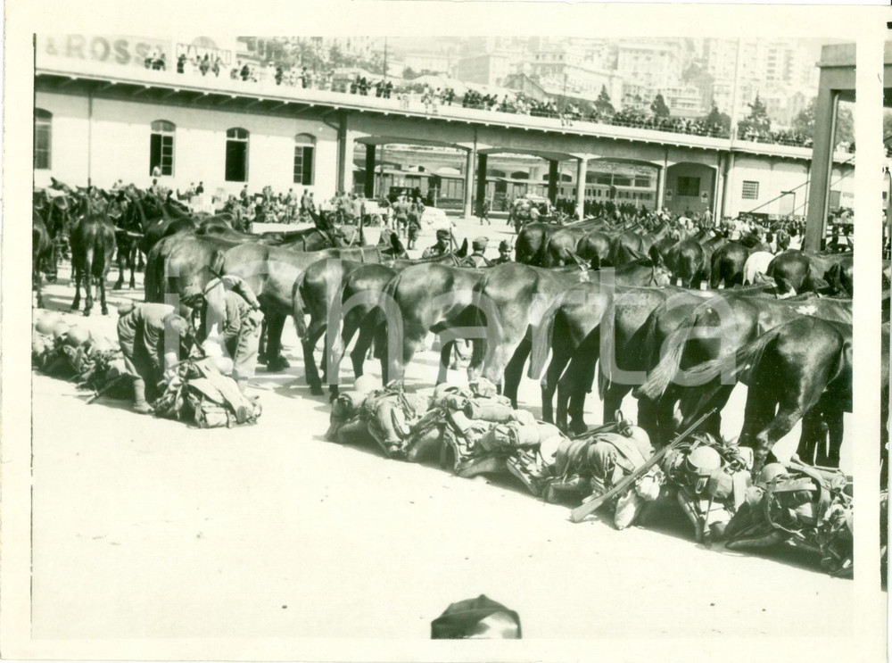 Fotografia d epoca originale 1935 GENOVA Truppe a cavallo si imbarcano per AFRICA ORIENTALE Fotografia 1