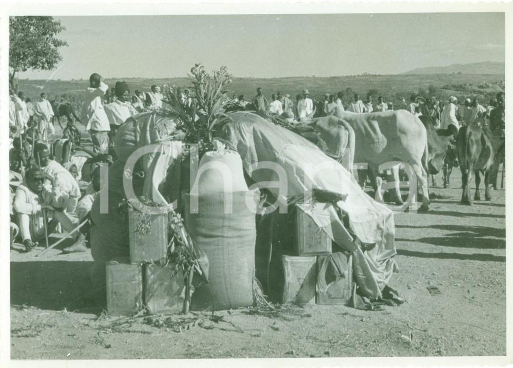 Fotografia d epoca originale 1937 HARAR ETIOPIA Distribuzione dei doni alla fine del RAMADAN Fotografia 1