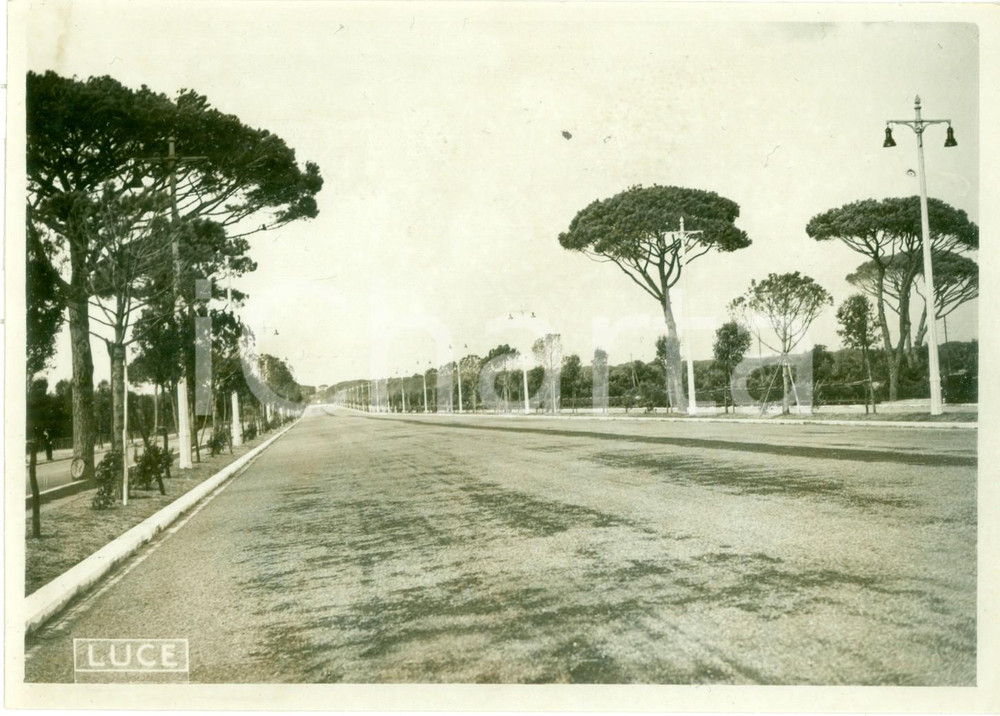 Fotografia d epoca originale 1939 OSTIA RM Nuovo tratto della VIA IMPERIALE al Lido di ROMA Fotografia 1