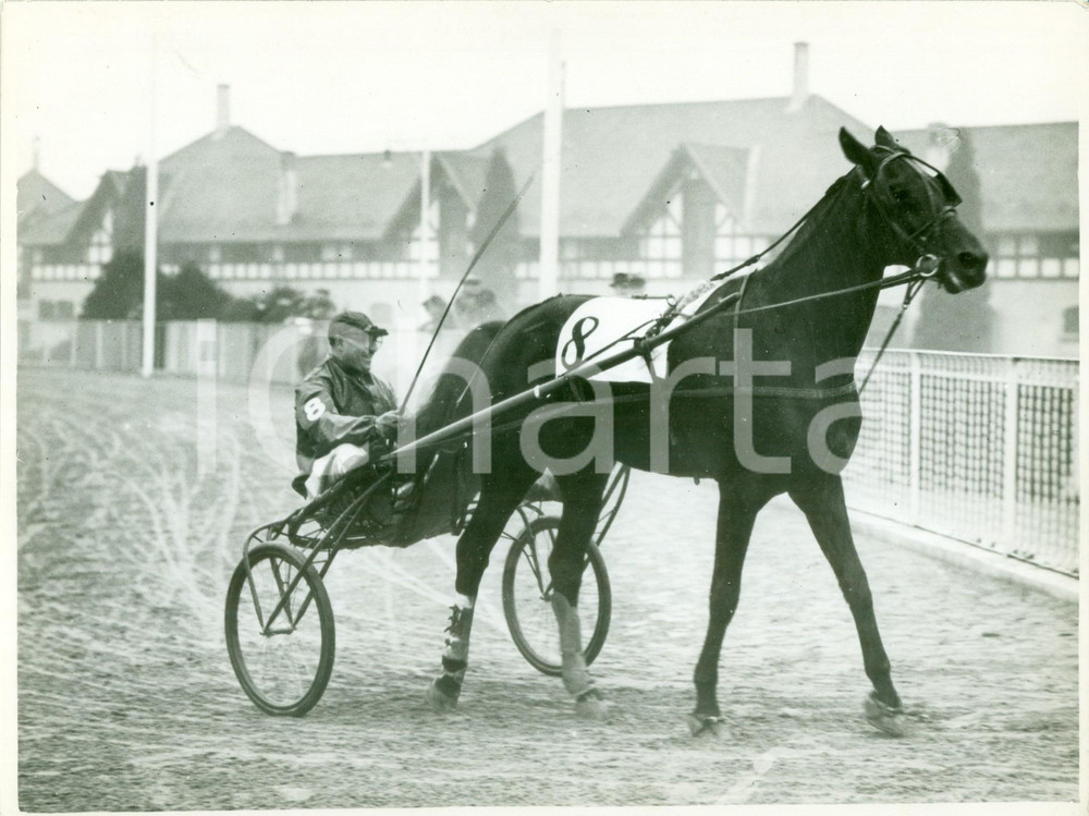 Fotografia d epoca originale 1936 MILANO SAN SIRO Ippica Cavallo PRINCE HALL al peso Premio TRIESTE Foto 1