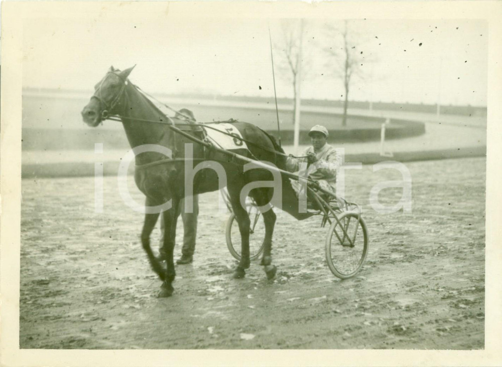 Fotografia d epoca originale 1936 MILANO SAN SIRO Cavallo MARY SUNSHINE vince Premio dell AVVENIRE Fotografia 1