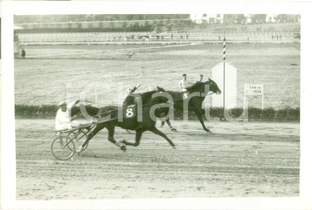 Fotografia d epoca originale 1936 MILANO SAN SIRO Cavallo JAGO CLYDE batte MUSCLETONE Premio Impero Fascista 1
