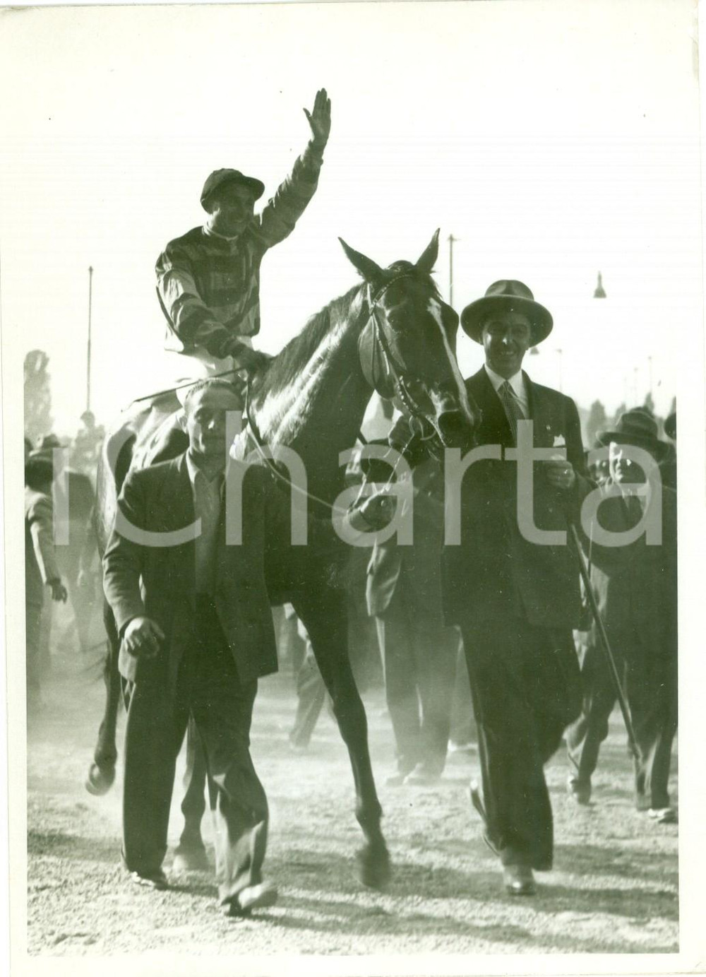 Fotografia d epoca originale 1936 MILANO SAN SIRO Cavallo ARCHIDAMIA dopo vittoria al Premio Milano FOTO 1