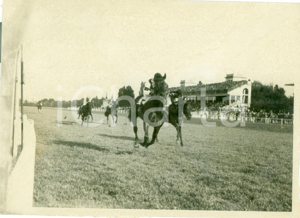 Fotografia d epoca originale 1936 MILANO SAN SIRO Cavallo ELITE vince Premio AMBROSIANO Fotografia 1