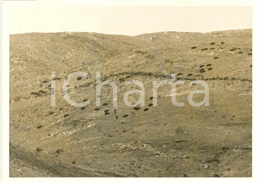 Fotografia d epoca originale 1938 AGRO ROMANO GRANDI MANOVRE I carri armati proteggono la fanteria Foto 1