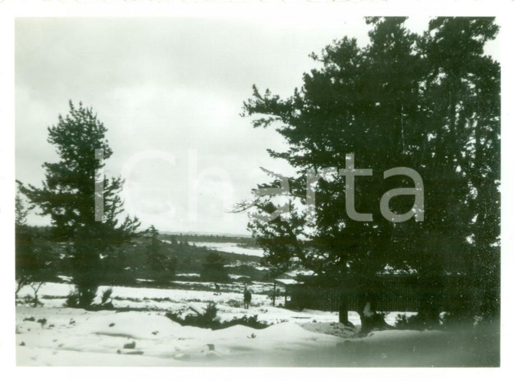 Fotografia d epoca originale 1935 ca CIRENAICA LIBIA La neve sul VILLAGGIO PRIMAVERA Fotografia 1