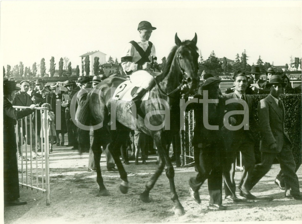 Fotografia d epoca originale 1936 MILANO IPPODROMO SAN SIRO Cavallo ELITE rientra al peso Fotografia 1