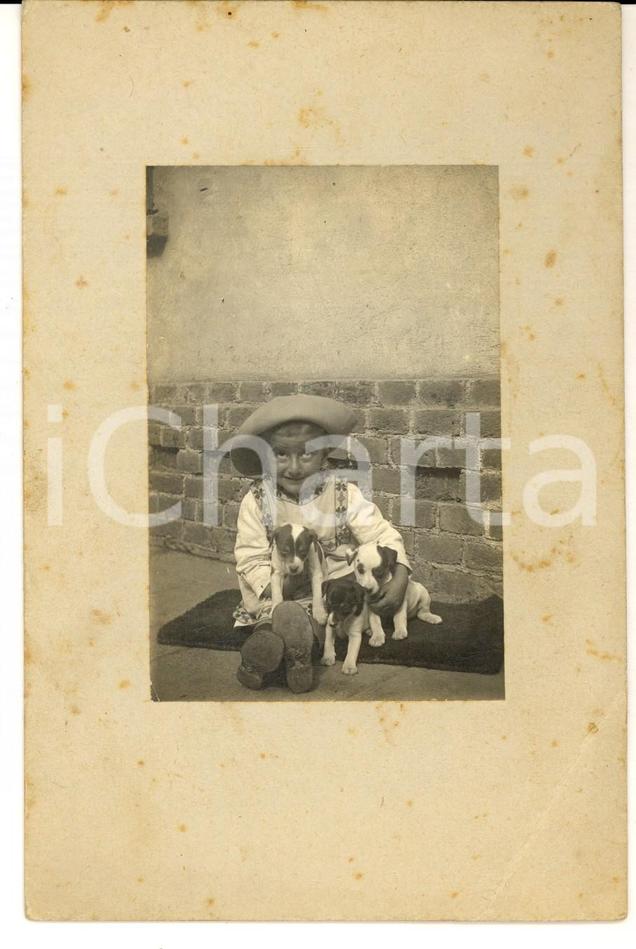 Fotografia d epoca originale 1900 ca LOMBARDIA ? Bambina con tre cagnolini Foto VINTAGE 11x17 cm 1