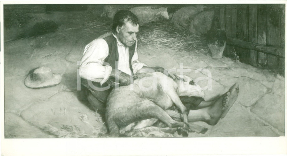 Fotografia d epoca originale 1936 FIRENZE Egisto FERRONI Ai campi Fotografia coeva del quadro 1