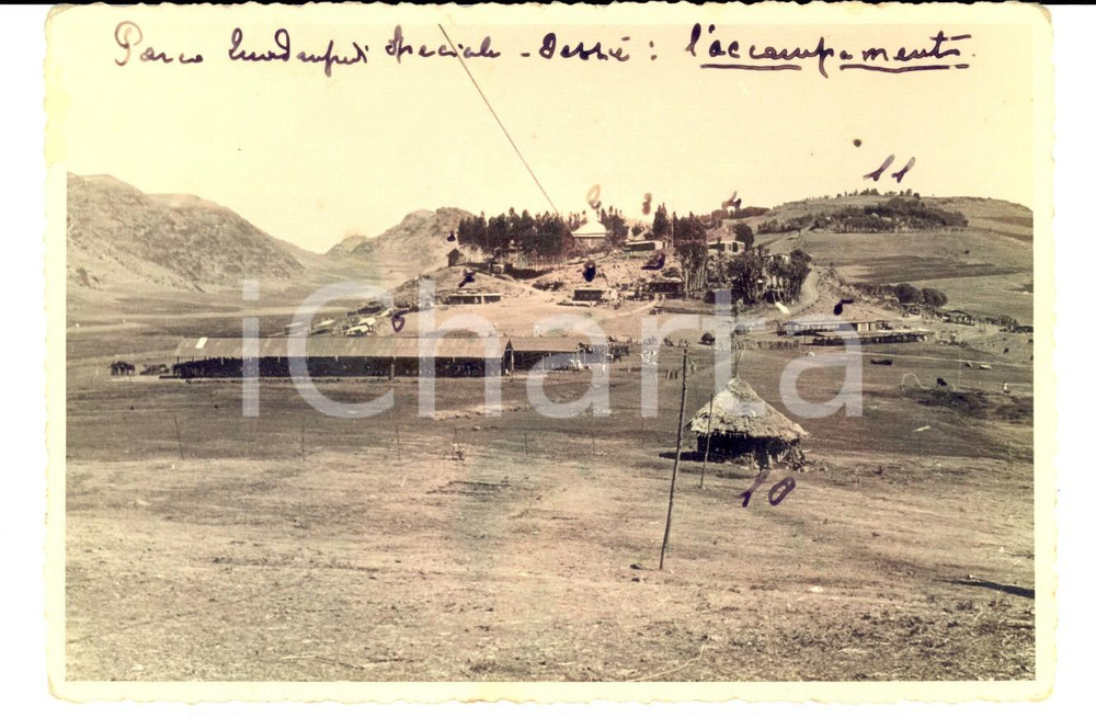Fotografia d epoca originale 1938 AOI DESSIE  ETIOPIA Parco Quadrupedi Speciale  Accampamento Foto 16x11 1