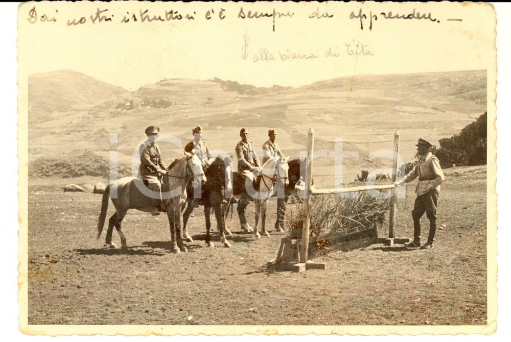 Fotografia d epoca originale 1938 AOI DESSIE  ETIOPIA Istruttori del REGIO ESERCITO al lavoro Foto 16x11 1