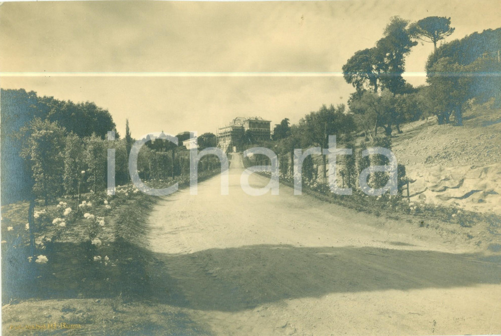 Fotografia d epoca originale 1933 CASTEL GANDOLFO RM Viale delle Rose e Palazzetto BARBERINI Fotografia 1