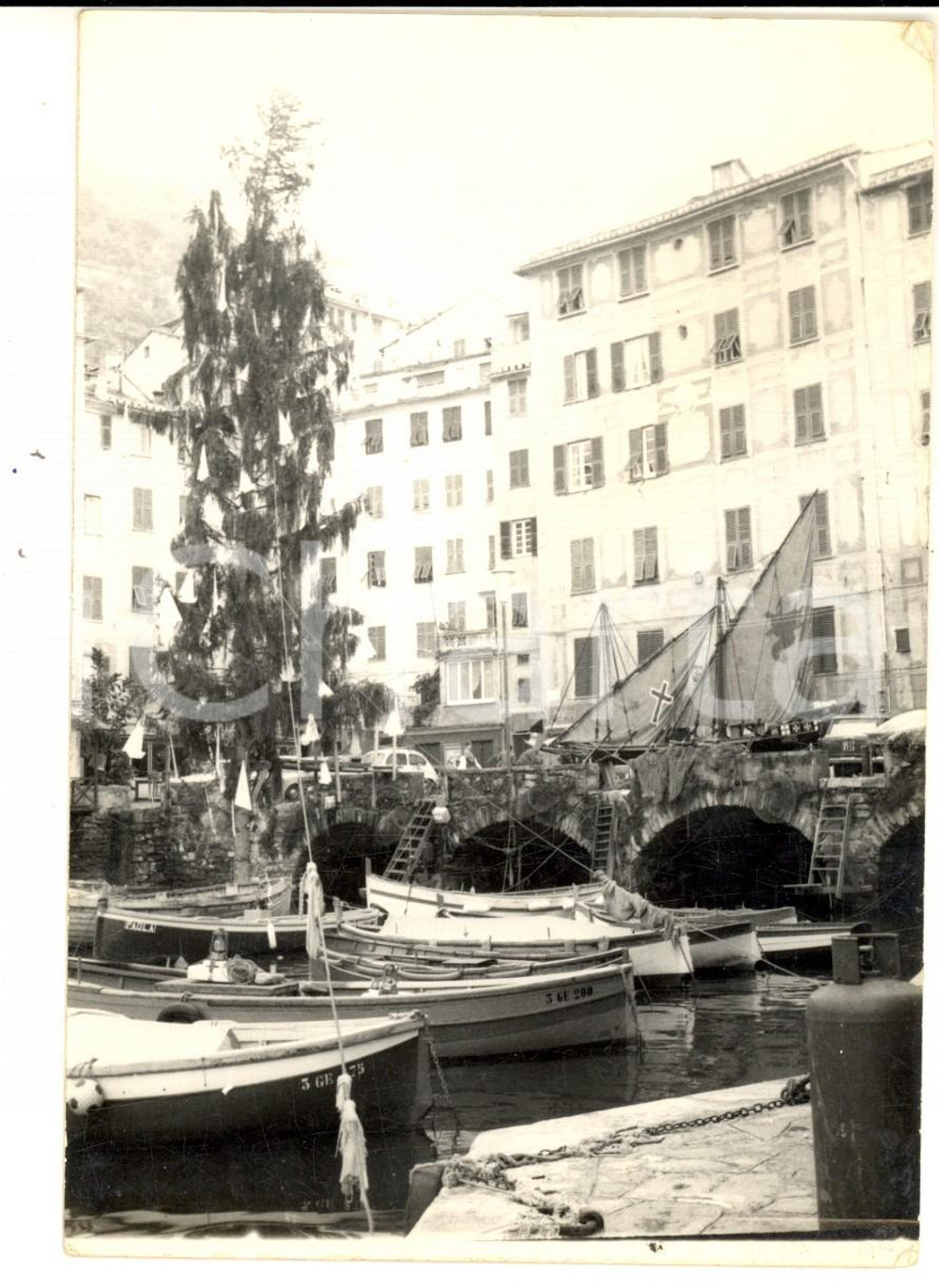 Fotografia d epoca originale 1950 ca CAMOGLI Barche nel porticciolo Foto ARTISTICA FERRARI 11x15 cm 1