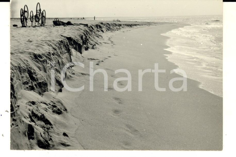 Fotografia d epoca originale 1957 VIAREGGIO Biciclette al sole in spiaggia Foto ARTISTICA 11x7 cm 1
