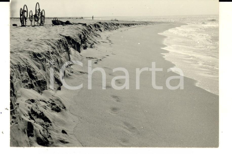 Fotografia d epoca originale 1957 VIAREGGIO Biciclette al sole in spiaggia Foto ARTISTICA 11x7 cm 1