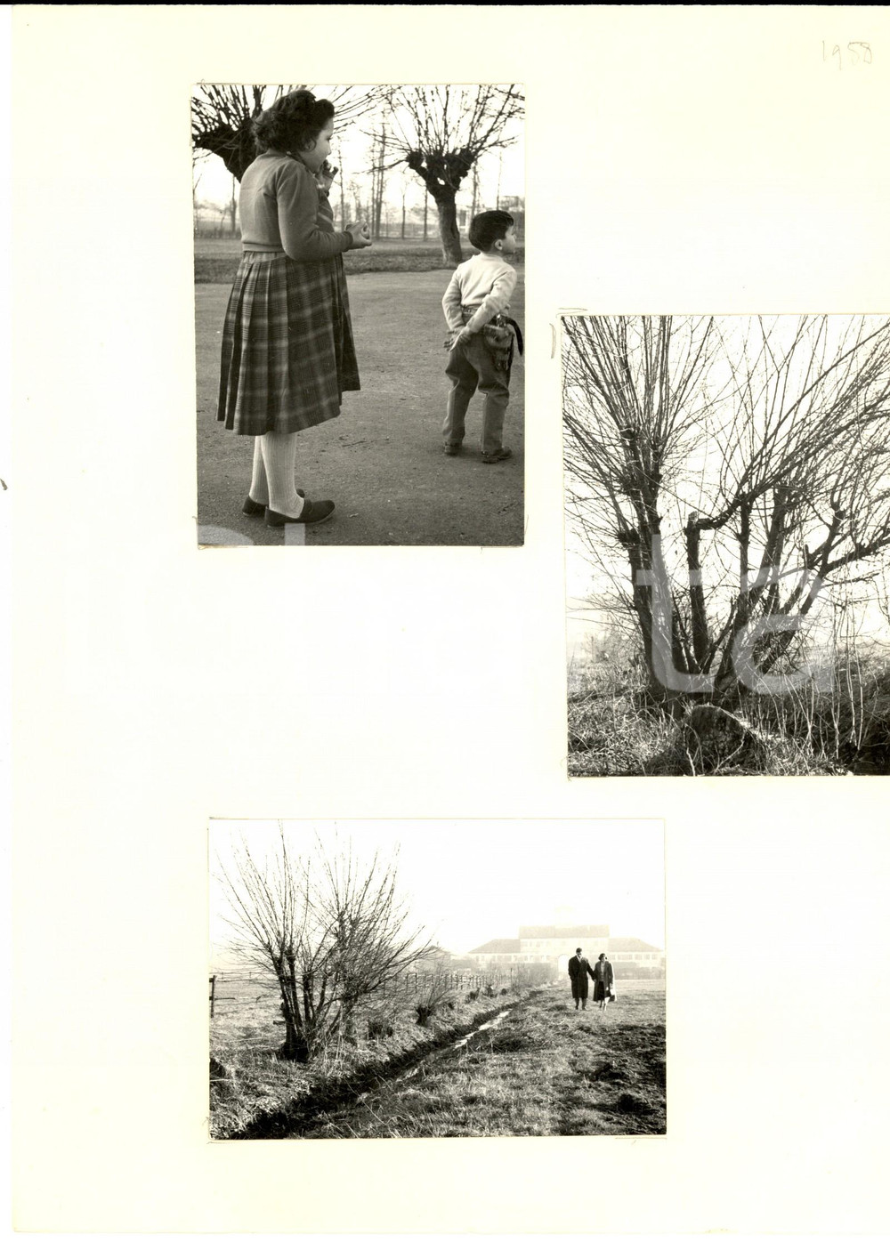 Fotografia d epoca originale 1958 MILANO Gita di famiglia in campagna Lotto 3 foto ARTISTICHE 15x10 1