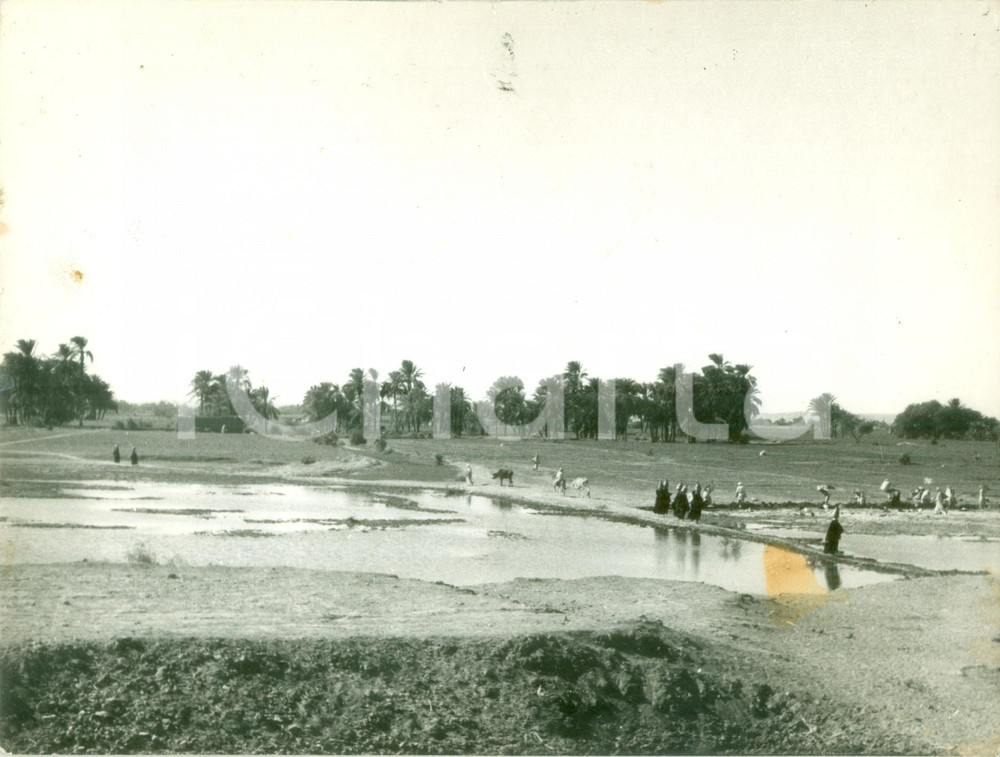 Fotografia d epoca originale 1950 ca IL CAIRO EGITTO Donne si recano a prendere l acqua Fotografia 1